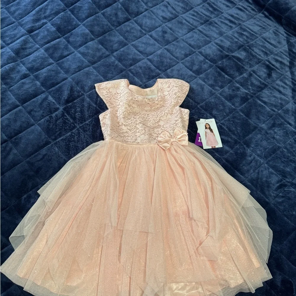 Jona Michelle Blush Lace Dress with Sequins